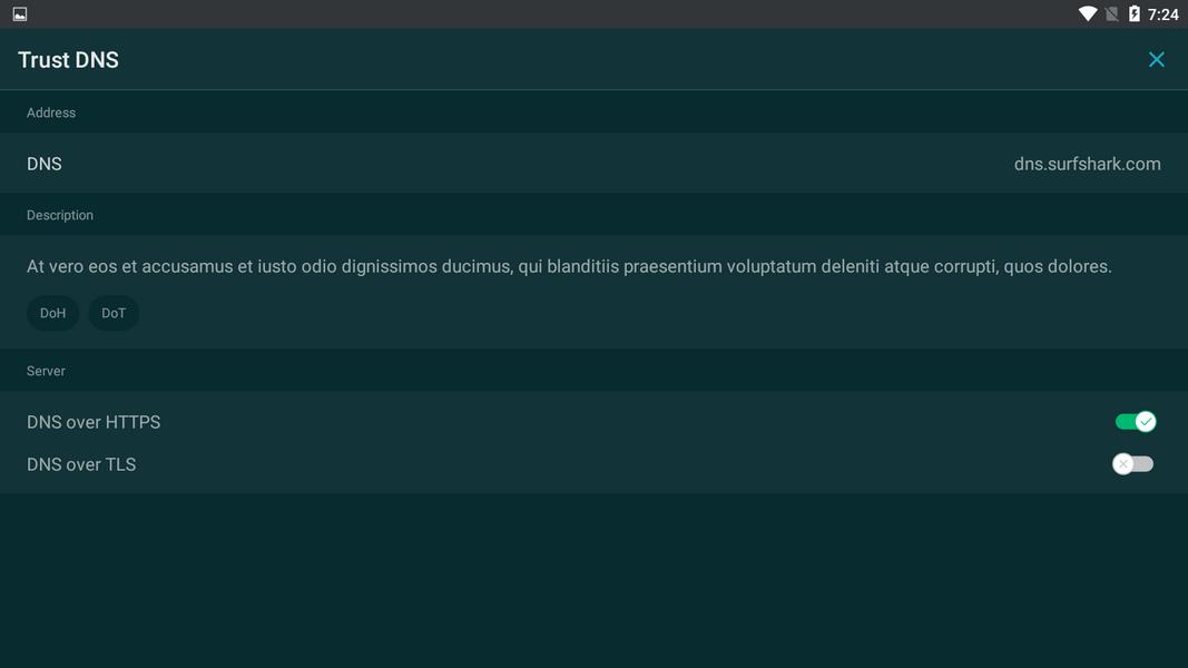 Trust DNS Screenshot 4