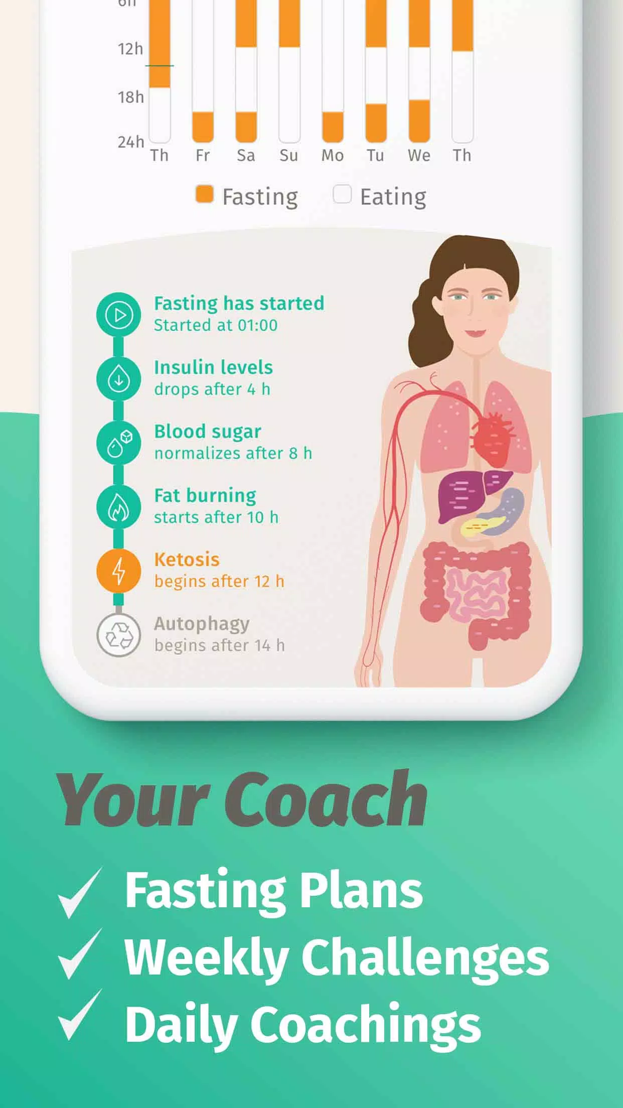 BodyFast Schermafbeelding 4