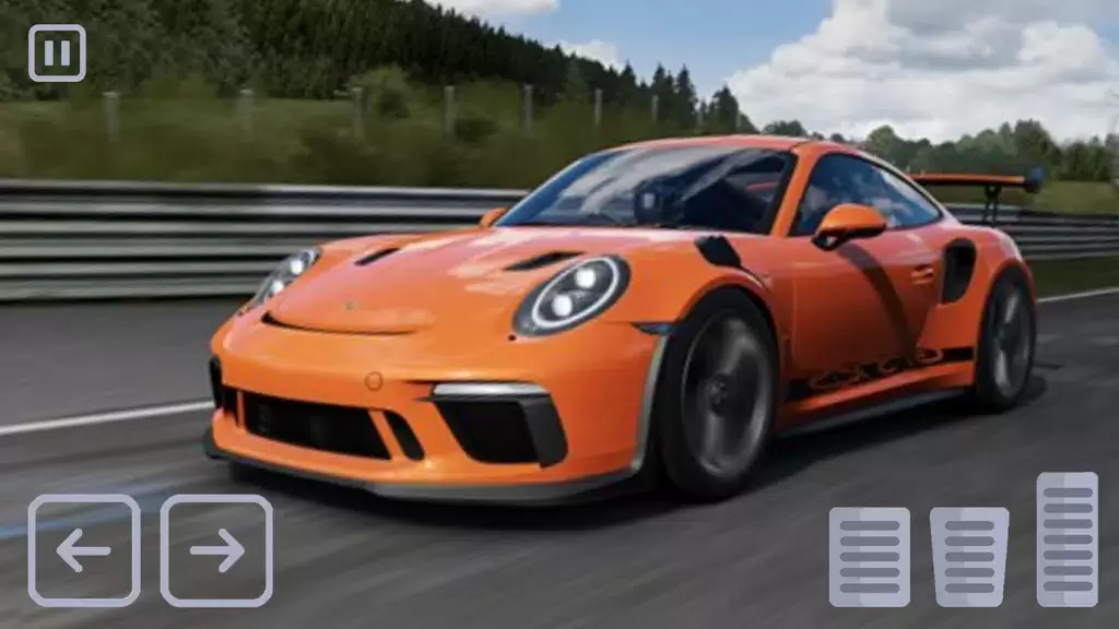 Racing Porsche Carrera 911 GT3 Zrzut ekranu 1