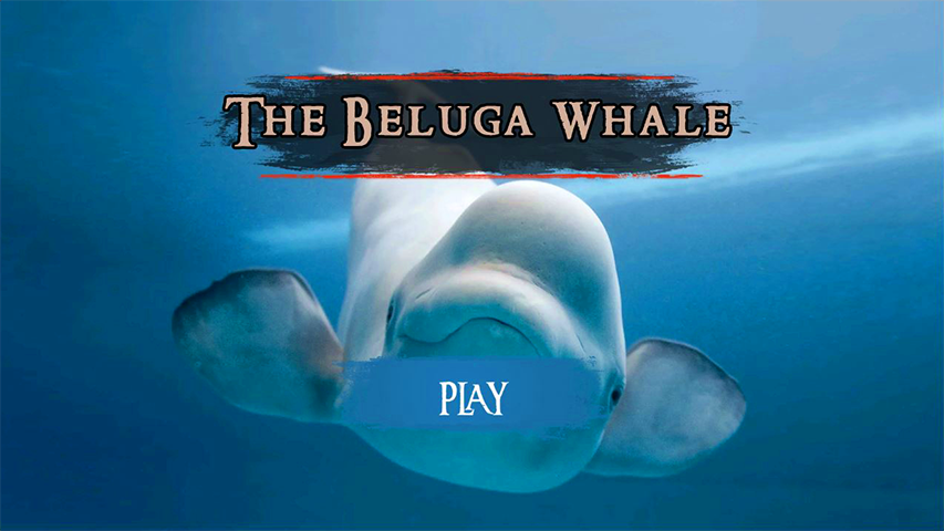 The Beluga Whale Screenshot 3