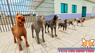 Animal Shelter: Pet World Game スクリーンショット 2