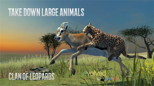 Clan of Leopards应用截图第3张