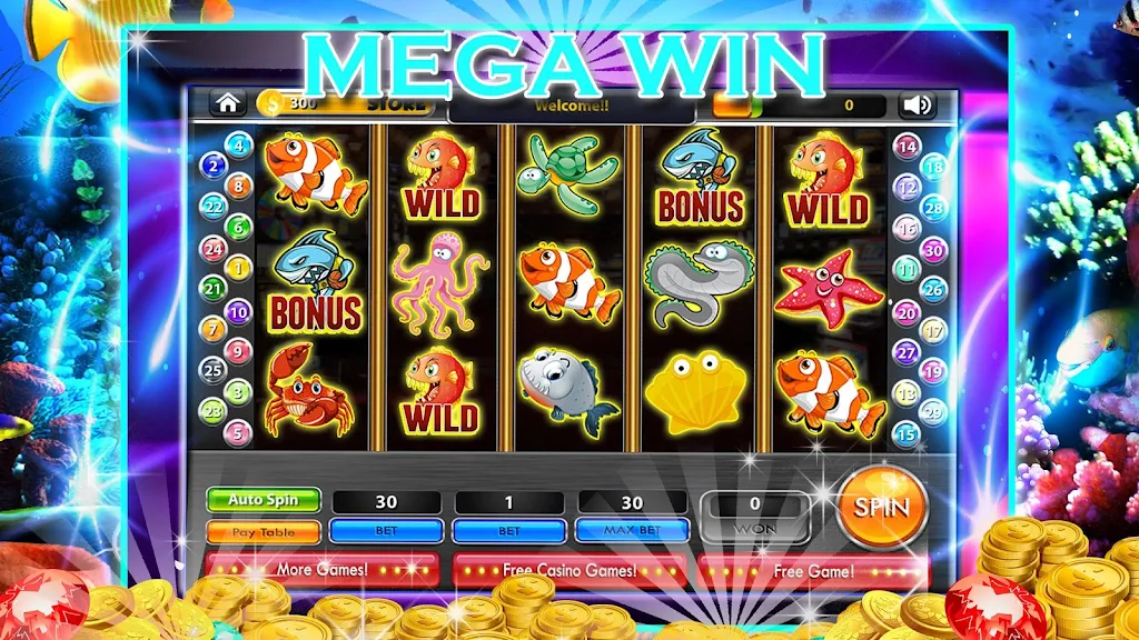 Dolphin Slots: Big fortune ဖန်သားပြင်ဓာတ်ပုံ 1