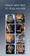 Lion Sounds Captura de pantalla 2