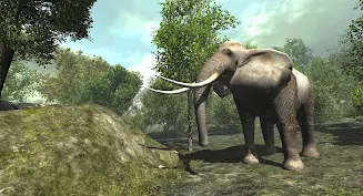 VR ZOO Safari Park Animal Game ဖန်သားပြင်ဓာတ်ပုံ 4