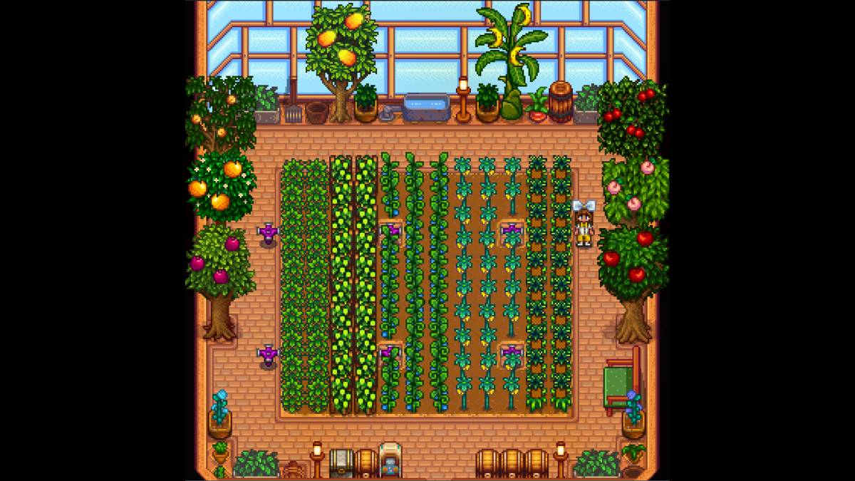 Capacidad de invernadero en Stardew Valley: ¿Cuántas plantas?