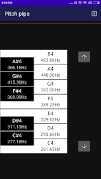 CarlTune - Chromatic Tuner Captura de pantalla 3