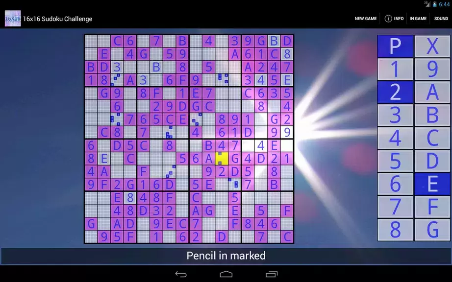 16x16 Sudoku Challenge HD應用截圖第3張