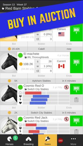 Stable Champions Schermafbeelding 4