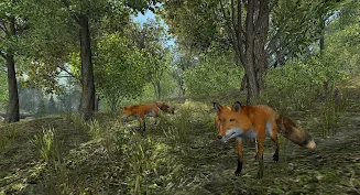 VR ZOO Safari Park Animal Game Screenshot 3