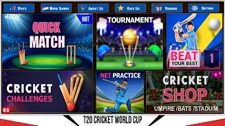 Indian Cricket Championship Скриншот 4