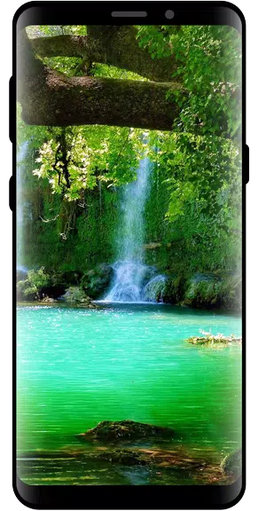 10000 Nature Wallpapers Ekran Görüntüsü 4