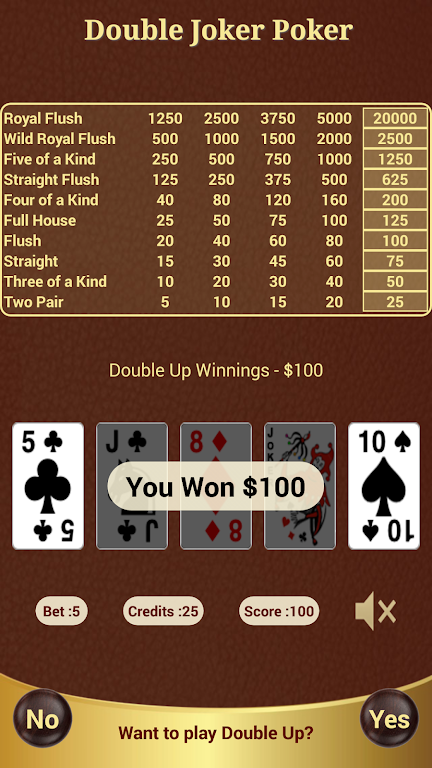 Double Joker Poker 스크린샷 3