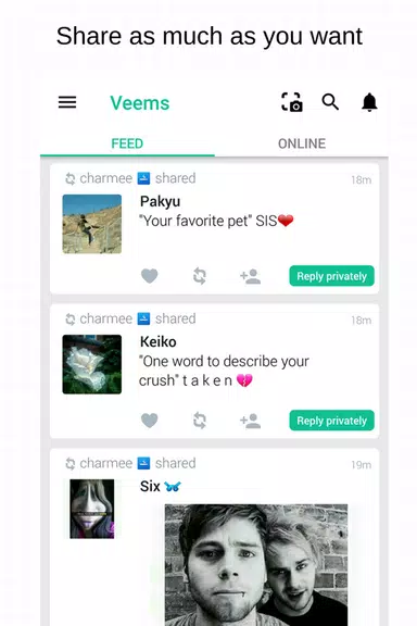 Veems Screenshot 1