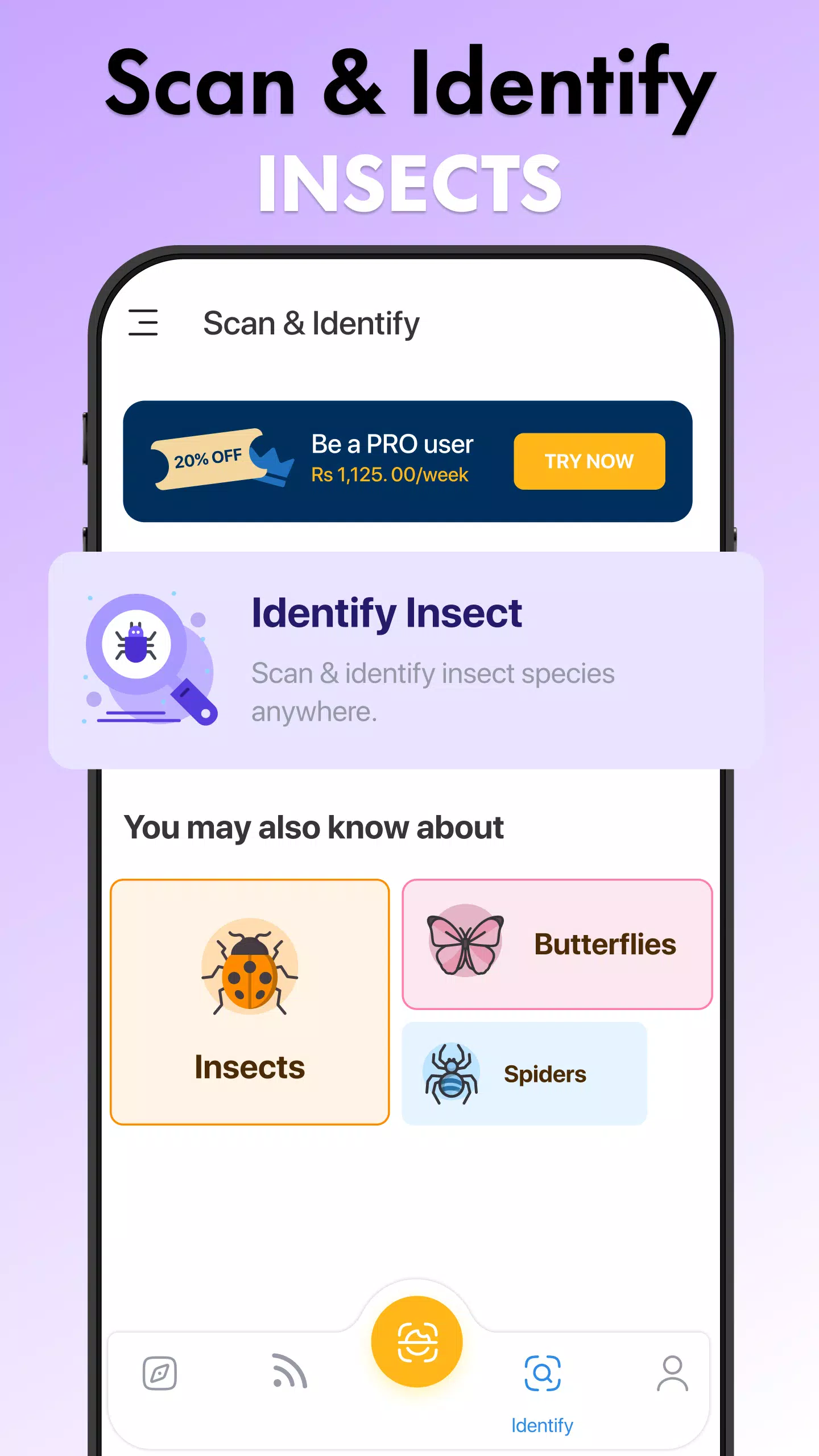 Insect Identifier Bug Identify应用截图第4张