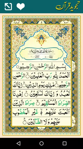 Tajweed Quran Pakistani - 16 l Screenshot 4