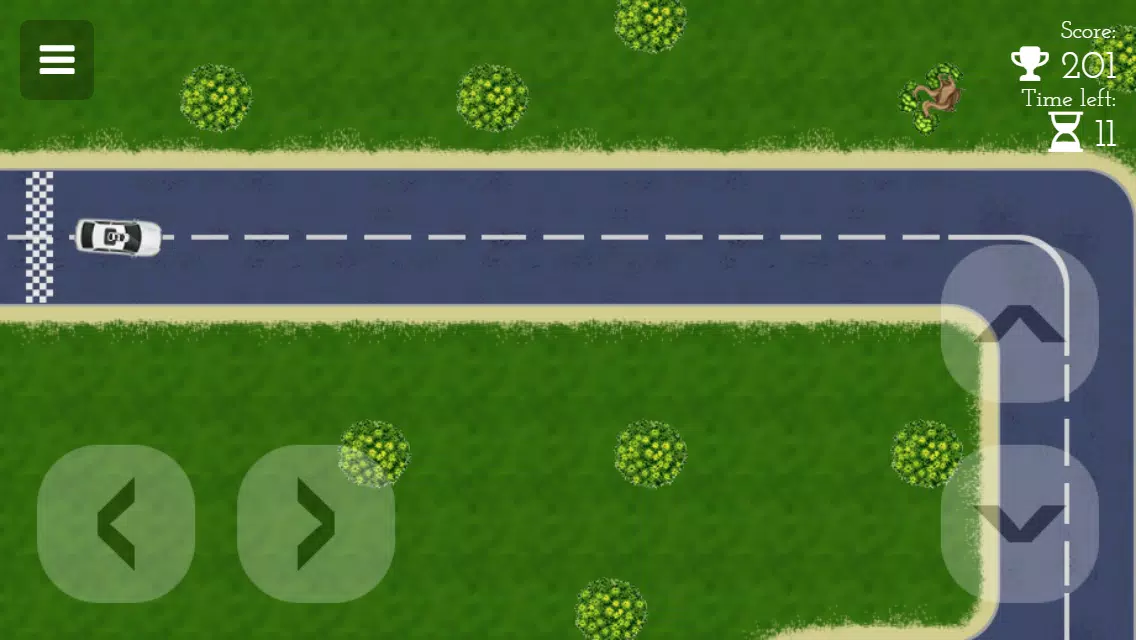 Car Driving Maze Captura de pantalla 4