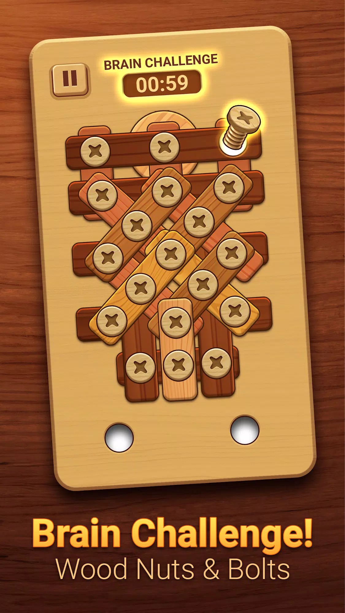 Woodle - Wood Screw Puzzle स्क्रीनशॉट 3