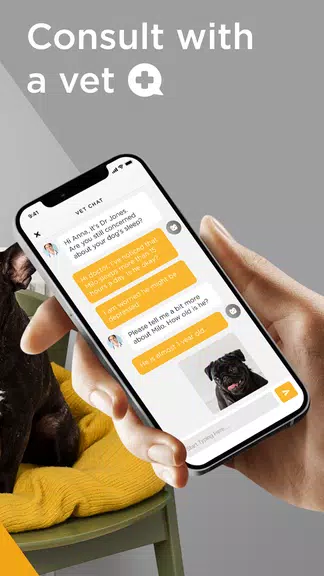 Petcube 스크린샷 4