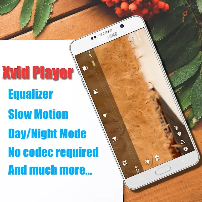 Xvid Video Codec Player Скриншот 1