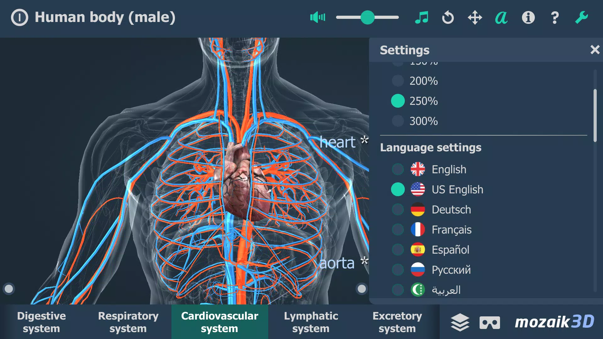 Human body (male) 3D scene ဖန်သားပြင်ဓာတ်ပုံ 2