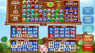 Video Bingo Little Farm Zrzut ekranu 1