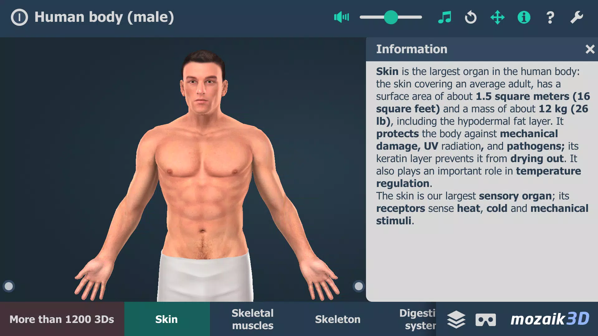 Human body (male) 3D scene ဖန်သားပြင်ဓာတ်ပုံ 1