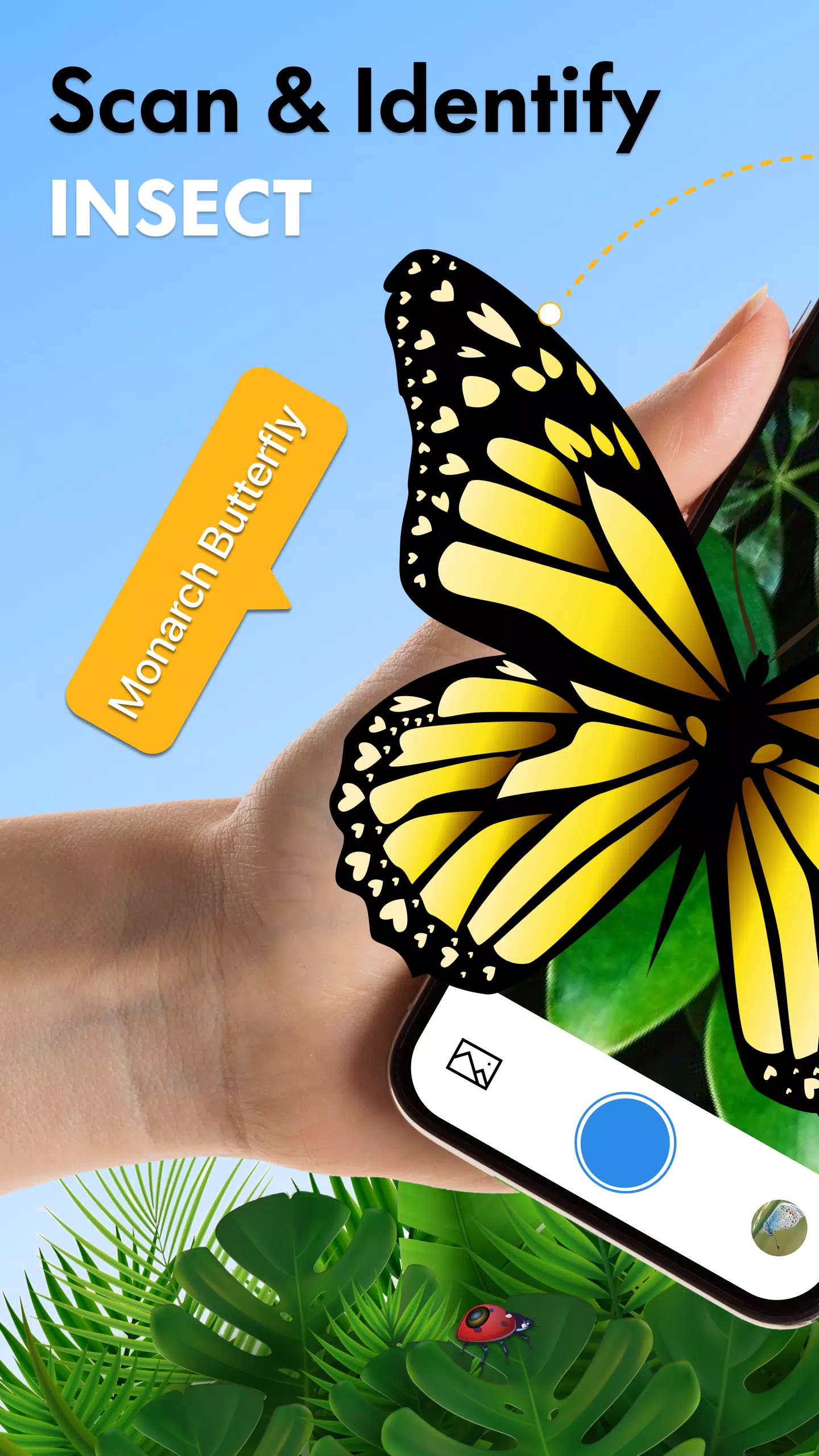 Insect Identifier Bug Identify应用截图第1张