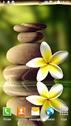 Zen Garden Live Wallpaper Zrzut ekranu 2