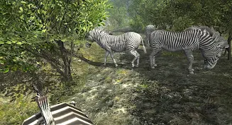 VR ZOO Safari Park Animal Game Скриншот 1