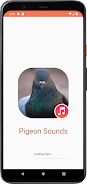 Pigeon Sounds स्क्रीनशॉट 1