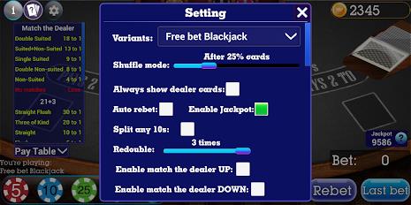 Spanish Blackjack 21 Capture d'écran 3