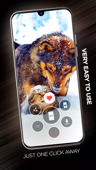 Schermata Wallpapers with dogs in 4K 2
