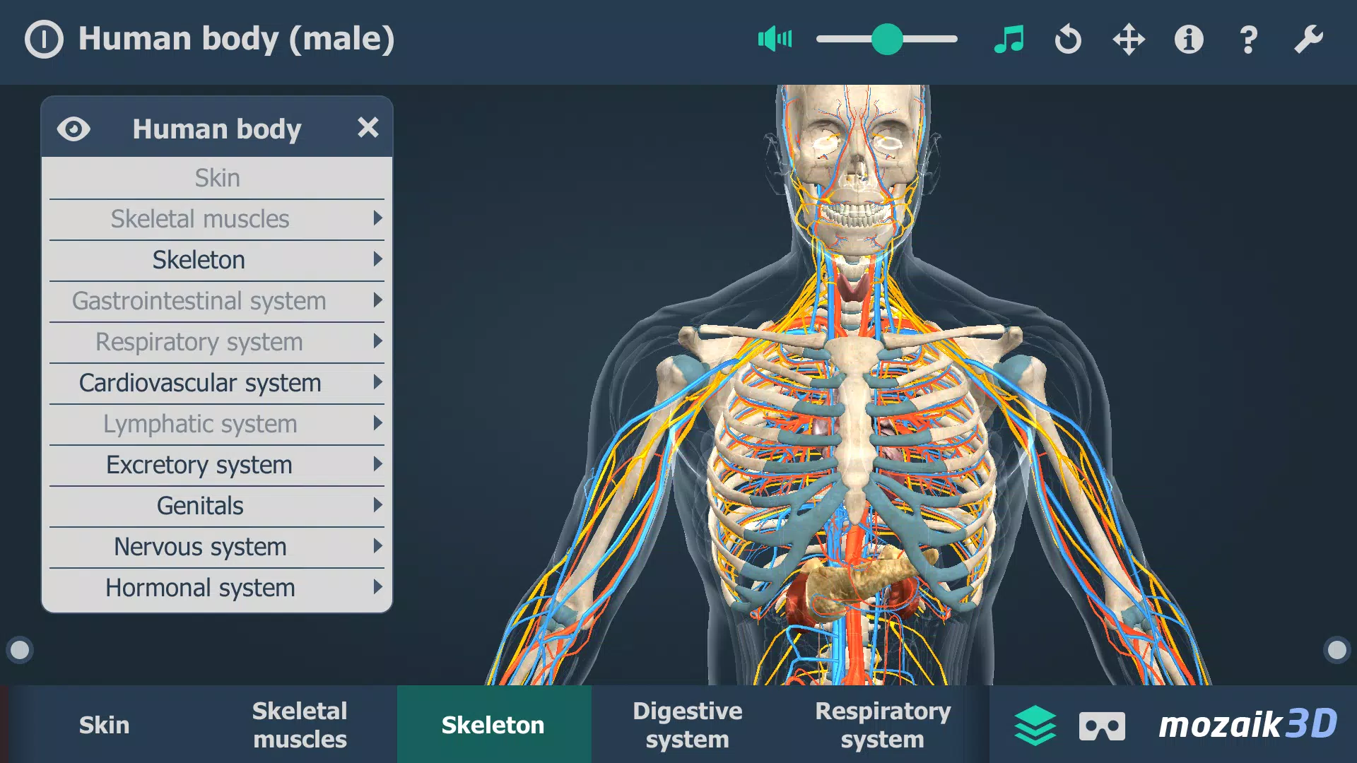 Human body (male) 3D scene ဖန်သားပြင်ဓာတ်ပုံ 4