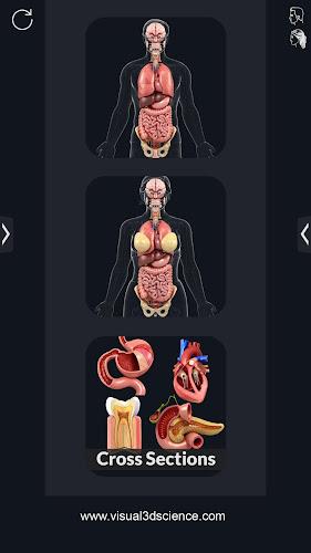 My Organs Anatomy ภาพหน้าจอ 1