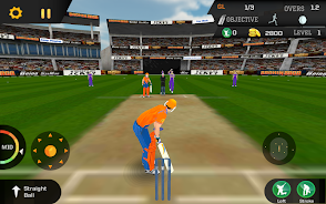 Cricket Unlimited 2017 Ảnh chụp màn hình 3