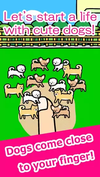 Play with Dogs - relaxing game Schermafbeelding 1