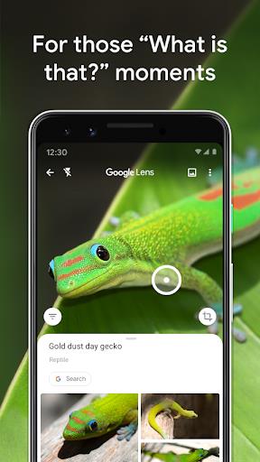 Google Lens 스크린샷 1