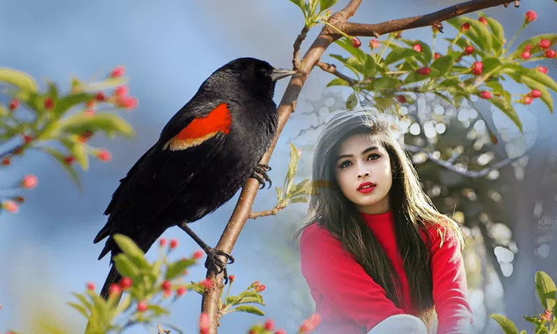 Birds Photo frame : Bird photo Tangkapan skrin 4
