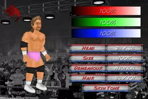 Schermata Wrestling Revolution 2