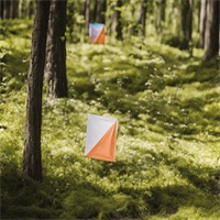 Orienteering Sport Russia