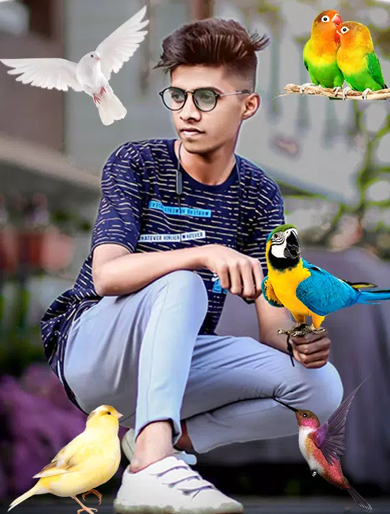 Birds Photo frame : Bird photo Tangkapan skrin 3