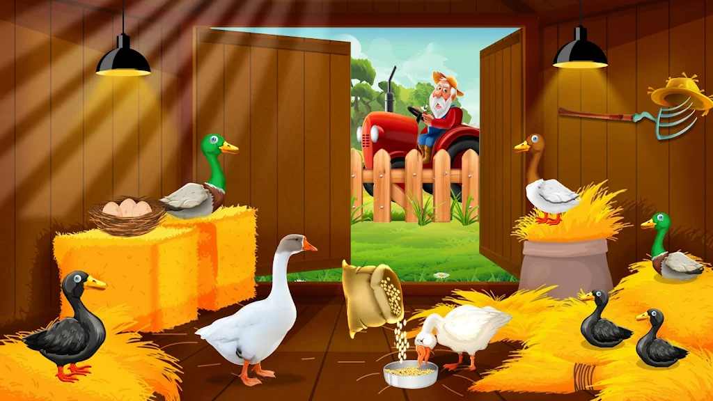 Duck Farm Eggs Chicken Poultry Captura de tela 4