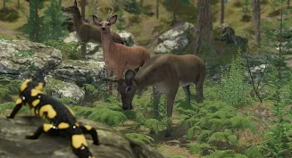 VR ZOO Safari Park Animal Game Screenshot 2