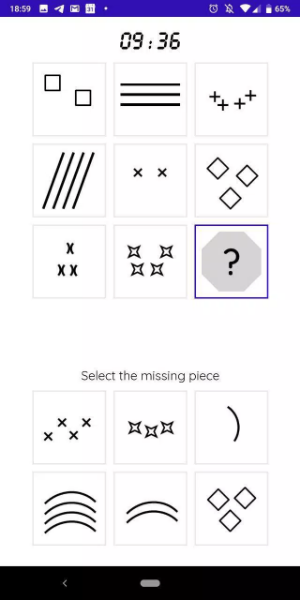 iQT: Raven IQ Test Screenshot 3