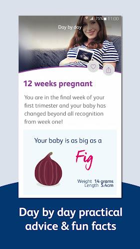 Bounty - Pregnancy & Baby App Screenshot 3