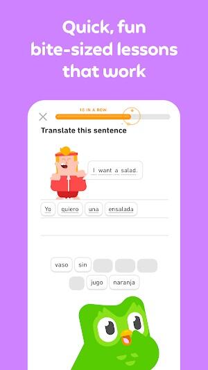 Duolingo mod apk 下載