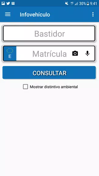 Schermata InfovehículoConsultarMatrícula 1
