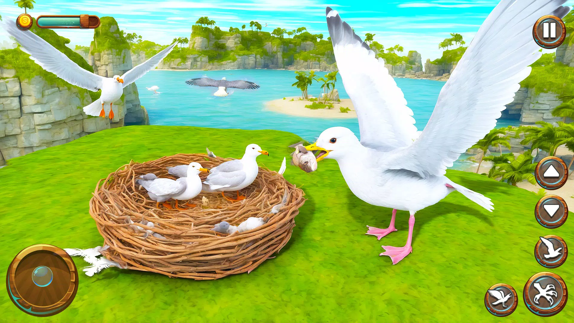 Seagull Bird Life Simulator應用截圖第4張