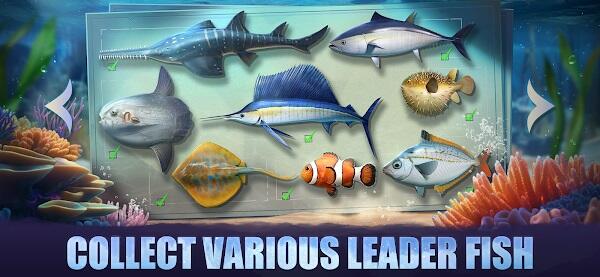 Top Fish: Ocean Game স্ক্রিনশট 3